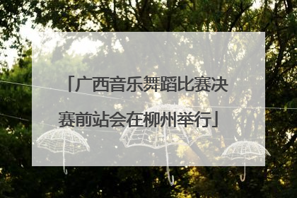 广西音乐舞蹈比赛决赛前站会在柳州举行