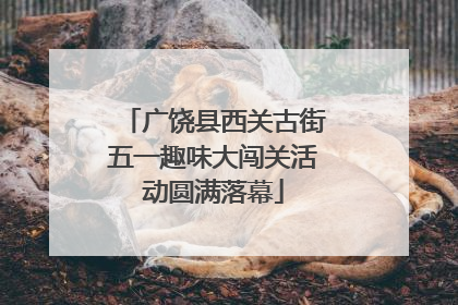 广饶县西关古街五一趣味大闯关活动圆满落幕