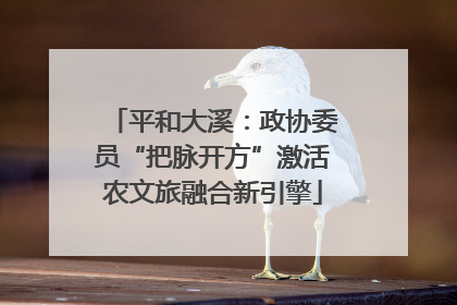 平和大溪：政协委员“把脉开方”激活农文旅融合新引擎