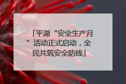 平湖“安全生产月”活动正式启动，全民共筑安全防线