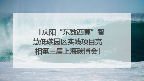 庆阳“东数西算”智慧低碳园区实践项目亮相第三届上海碳博会