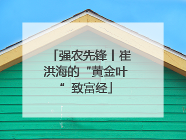 强农先锋丨崔洪海的“黄金叶”致富经