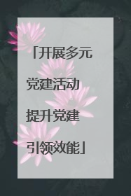 开展多元党建活动 提升党建 引领效能
