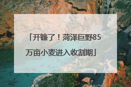 开镰了！菏泽巨野85万亩小麦进入收割期