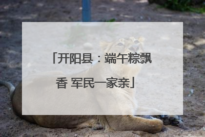 开阳县：端午粽飘香 军民一家亲