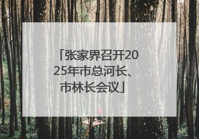 张家界召开2025年市总河长、市林长会议