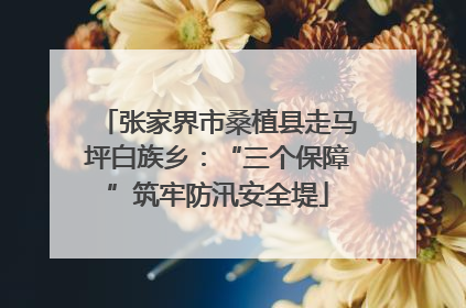 张家界市桑植县走马坪白族乡：“三个保障”筑牢防汛安全堤