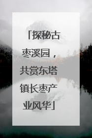 探秘古枣溪园，共赏东塔镇长枣产业风华