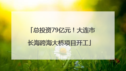 总投资79亿元！大连市长海跨海大桥项目开工