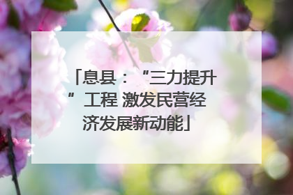 息县：“三力提升”工程 激发民营经济发展新动能