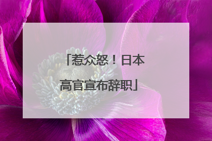 惹众怒！日本高官宣布辞职