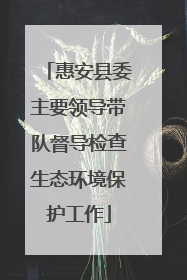 惠安县委主要领导带队督导检查生态环境保护工作