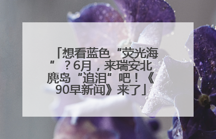 想看蓝色“荧光海”？6月，来瑞安北麂岛“追泪”吧！《90早新闻》来了