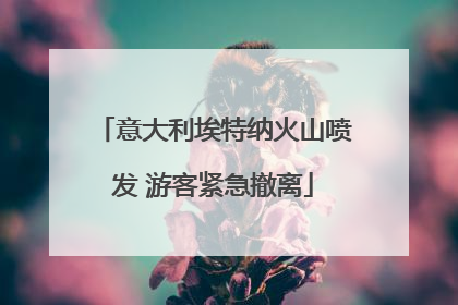 意大利埃特纳火山喷发 游客紧急撤离