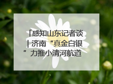 感知山东记者谈｜济南“真金白银”力推小清河航道 黄金水道激活区域经济新动能