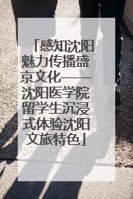 感知沈阳魅力传播盛京文化——沈阳医学院留学生沉浸式体验沈阳文旅特色