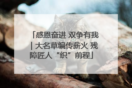 感恩奋进 双争有我｜大名草编传薪火 残障匠人“织”前程