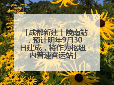 成都新建十陵南站，预计明年9月30日建成，将作为枢纽内普速客运站