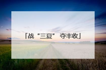战“三夏” 夺丰收