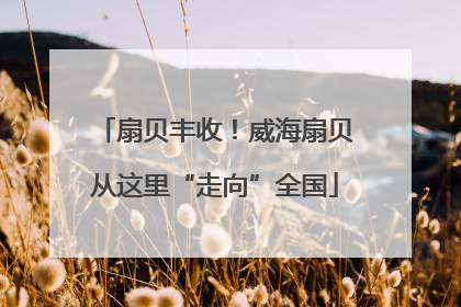 扇贝丰收！威海扇贝从这里“走向”全国