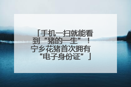 手机一扫就能看到“猪的一生”！宁乡花猪首次拥有“电子身份证”