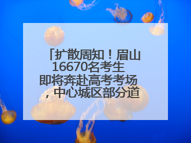 扩散周知！眉山16670名考生即将奔赴高考考场，中心城区部分道路将禁止通行