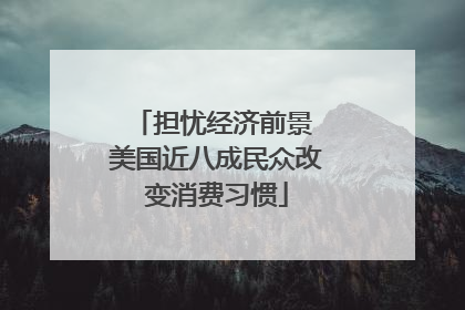 担忧经济前景 美国近八成民众改变消费习惯