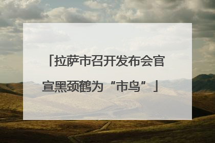 拉萨市召开发布会官宣黑颈鹤为“市鸟”