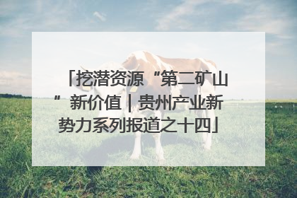 挖潜资源“第二矿山”新价值｜贵州产业新势力系列报道之十四