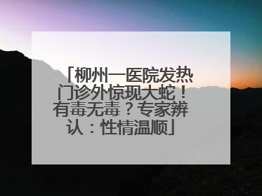 柳州一医院发热门诊外惊现大蛇！有毒无毒？专家辨认：性情温顺