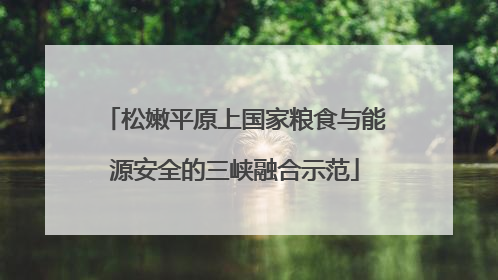 松嫩平原上国家粮食与能源安全的三峡融合示范