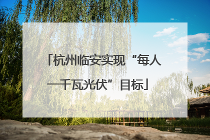 杭州临安实现“每人一千瓦光伏”目标