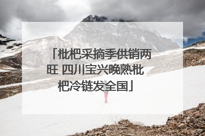 枇杷采摘季供销两旺 四川宝兴晚熟枇杷冷链发全国
