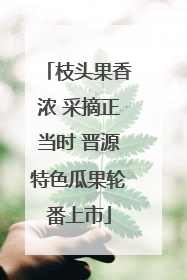 枝头果香浓 采摘正当时 晋源特色瓜果轮番上市