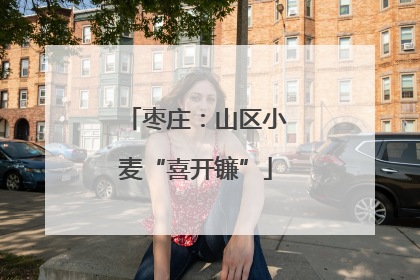 枣庄：山区小麦“喜开镰”