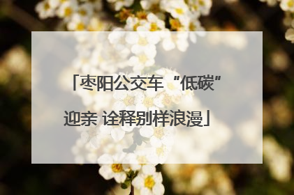 枣阳公交车“低碳”迎亲 诠释别样浪漫