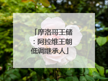 摩洛哥王储：阿拉维王朝低调继承人
