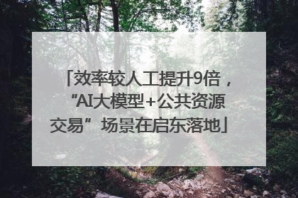 效率较人工提升9倍，“AI大模型+公共资源交易”场景在启东落地