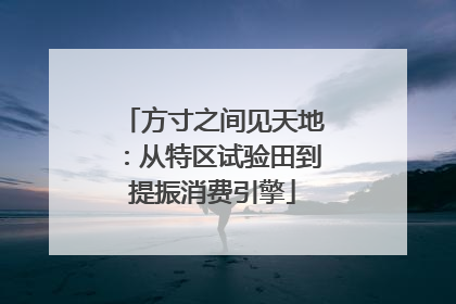 方寸之间见天地：从特区试验田到提振消费引擎