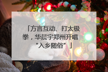 方言互动、打太极拳，华晨宇郑州开唱“入乡随俗”