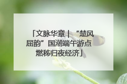 文脉华章｜“楚风屈韵”国潮端午游点燃秭归夜经济