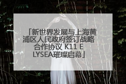 新世界发展与上海黄浦区人民政府签订战略合作协议 K11 ELYSEA璀璨启幕