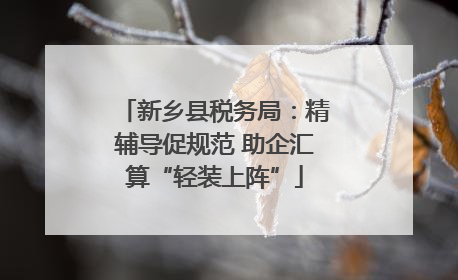 新乡县税务局：精辅导促规范 助企汇算“轻装上阵”