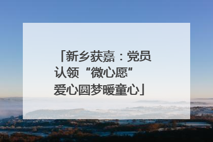 新乡获嘉：党员认领“微心愿” 爱心圆梦暖童心