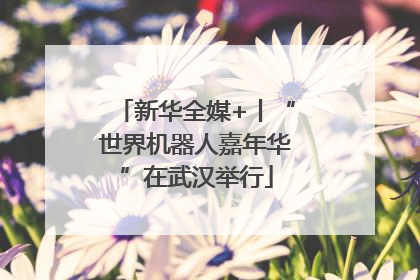 新华全媒+丨“世界机器人嘉年华”在武汉举行