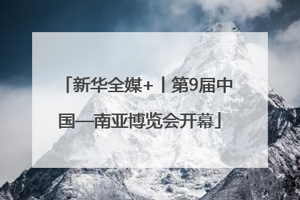 新华全媒+丨第9届中国—南亚博览会开幕