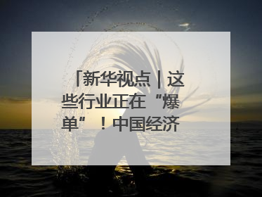 新华视点｜这些行业正在“爆单”！中国经济活力密码