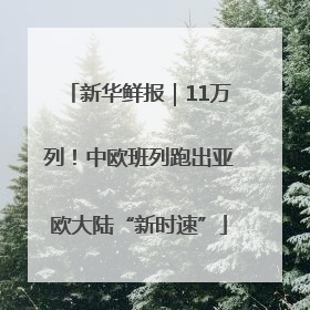 新华鲜报｜11万列！中欧班列跑出亚欧大陆“新时速”