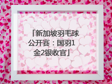新加坡羽毛球公开赛：国羽1金2银收官
