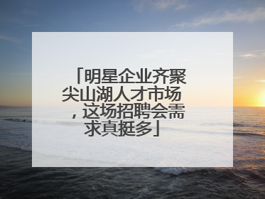 明星企业齐聚尖山湖人才市场，这场招聘会需求真挺多